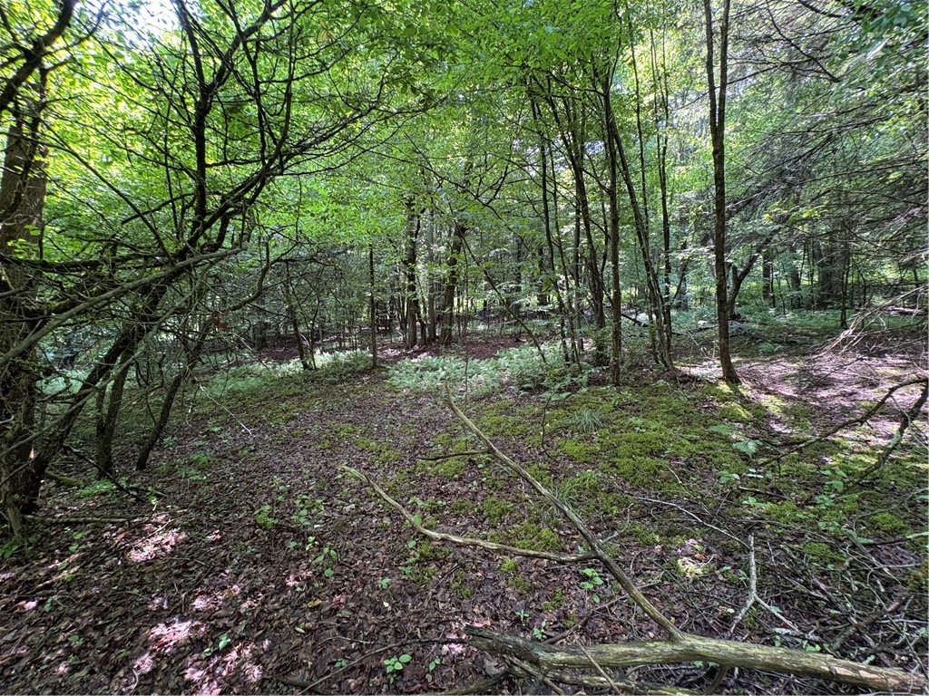 Stage Road South Otselic, NY 13155 - Photo 11 of 29