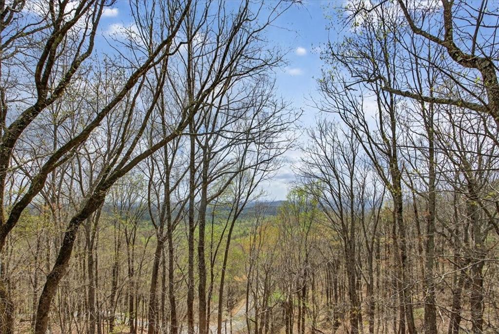 185 Alpine Drive Jasper, GA 30143 - Photo 7 of 51