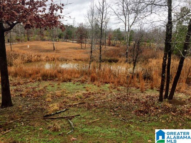 2266 Gilberts Ferry Road Ohatchee, AL 36271 - Photo 32 of 33