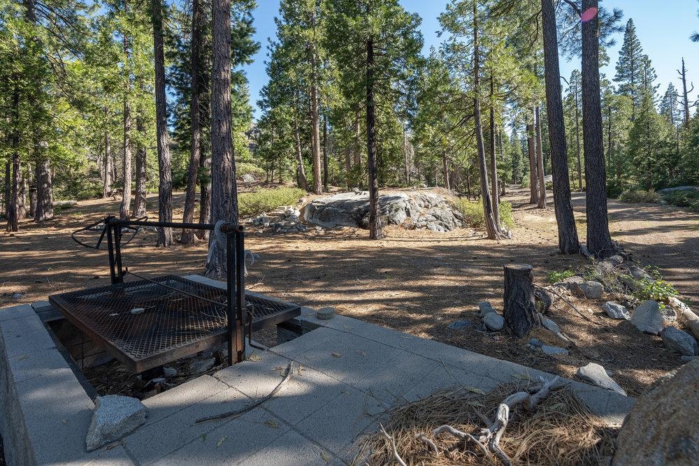 11820 Eagle Lakes Road Nevada City, CA 95959 - Photo 24 of 26 a view of a backyard with a tree