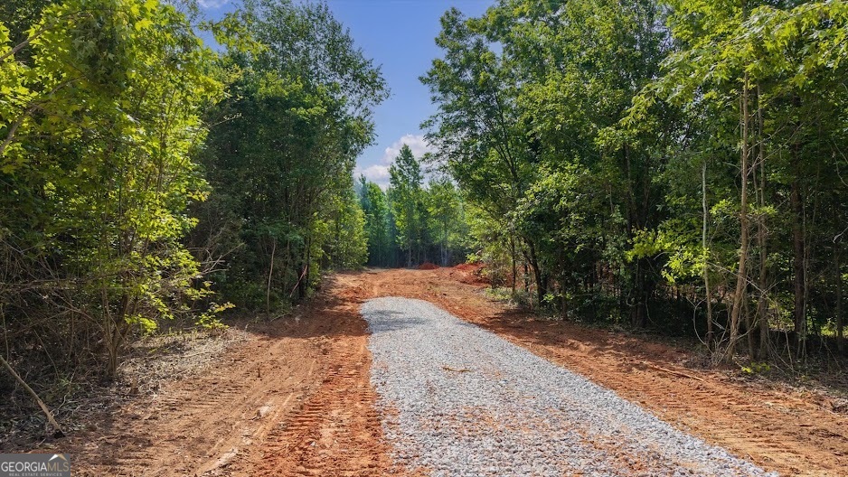0 Shirey Dairy Road Carrollton, GA 30117 - Photo 16 of 19