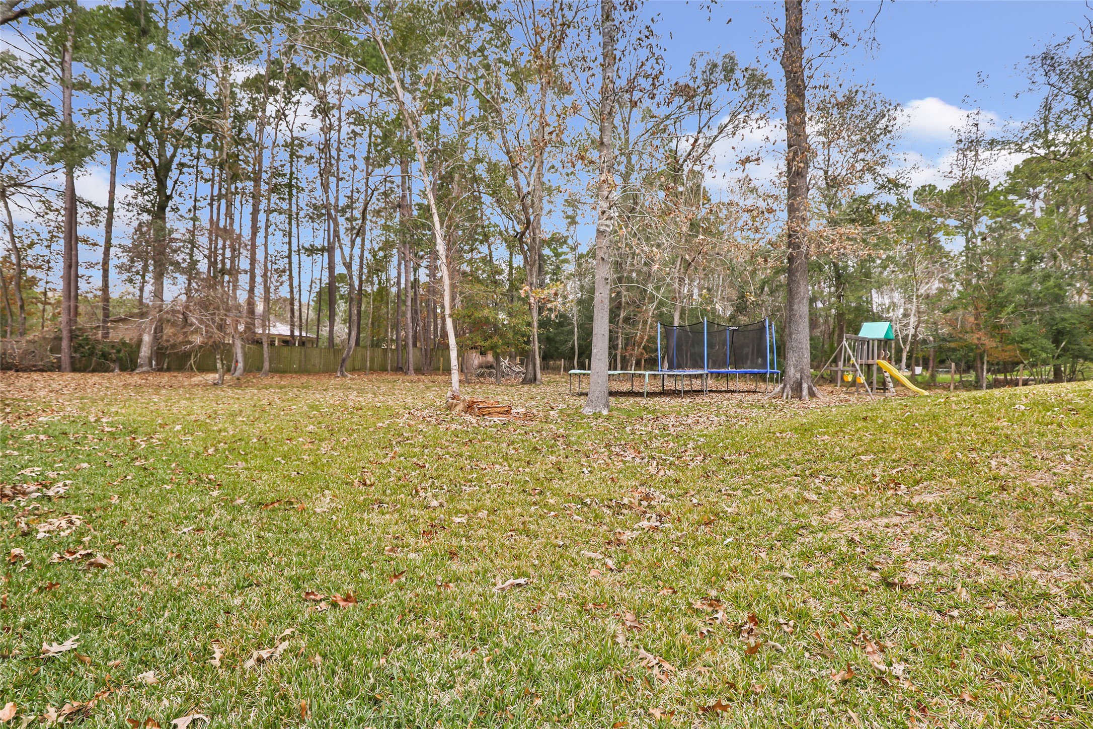 28511 Riverside Crest Lane Houston, TX 77336 - Photo 37 of 40 Fully Fenced Backyard complete with Egg Laying Chickens