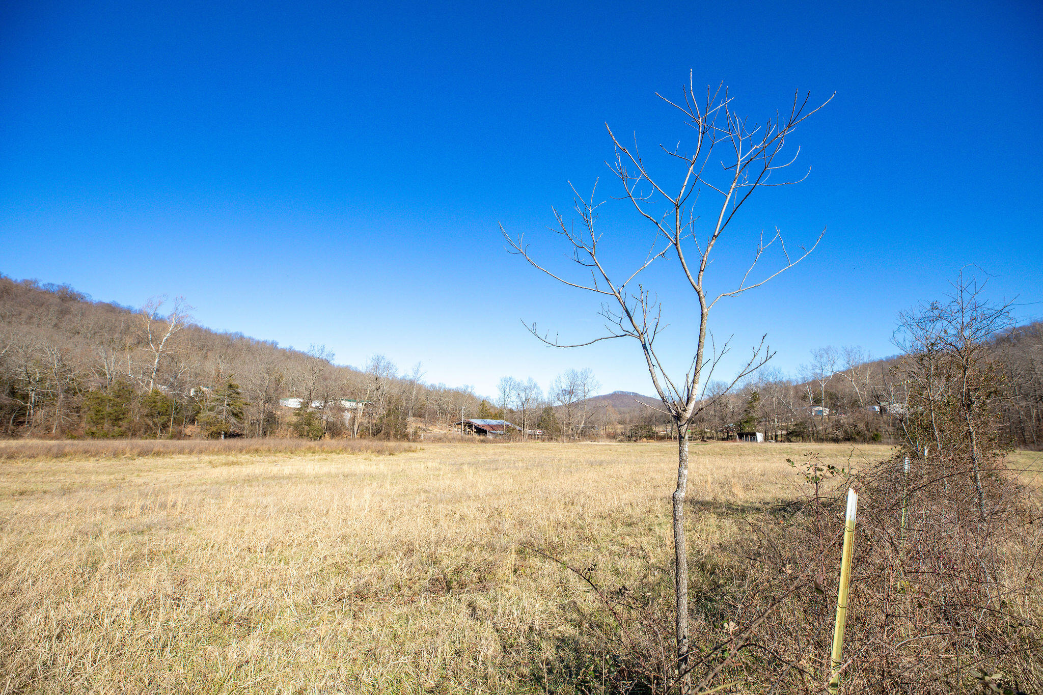 9068 County Rd Green Green Forest, AR 72638 - Photo 27 of 34 GreenforrestProperty-16