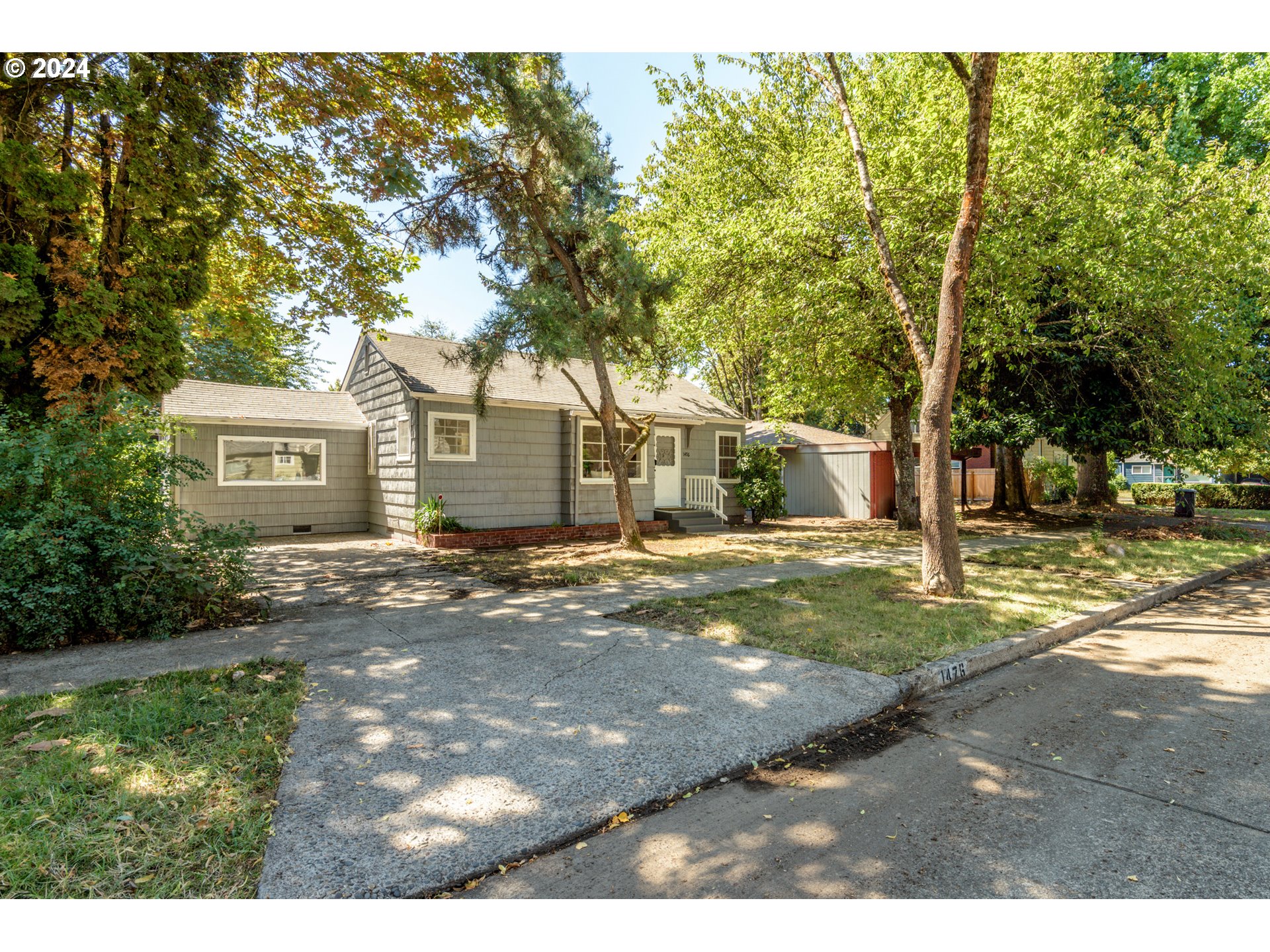 a view of a yard with plants and large trees