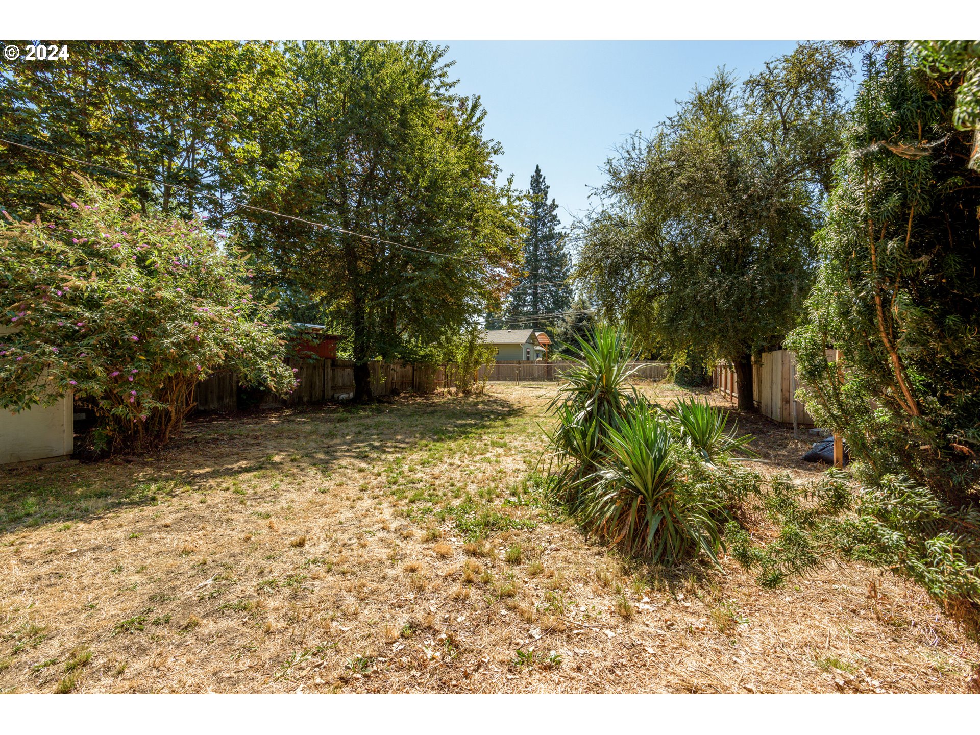 1476 West 4th Avenue Eugene, OR 97402 - Photo 25 of 26 a view of a yard with plants and trees