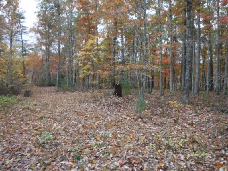 17 76ac Arrowhead Road Moss, TN 38575 - Photo 1 of 28 a backyard of a house with lots of green space