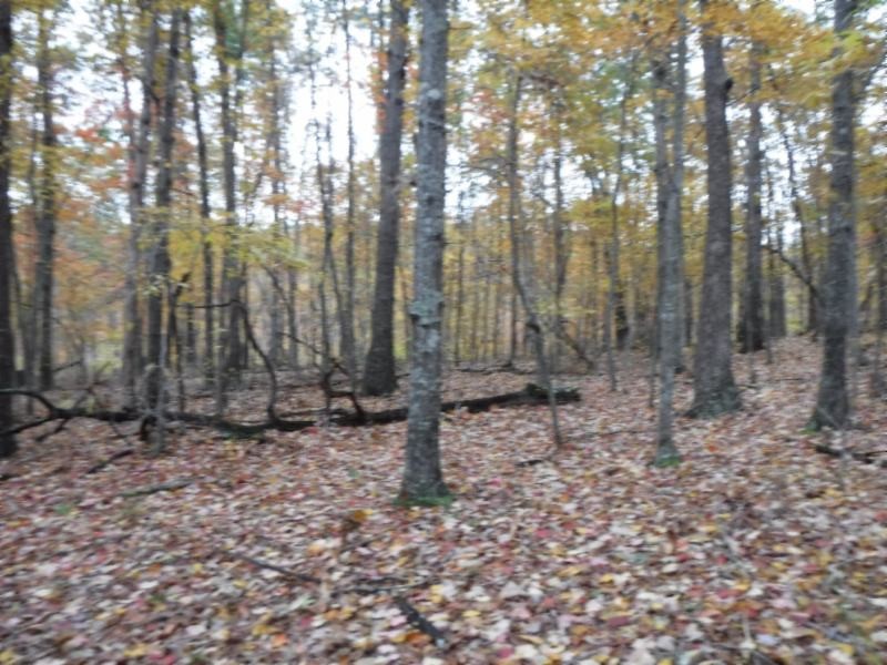 17 76ac Arrowhead Road Moss, TN 38575 - Photo 16 of 28 a backyard of a house with lots of green space