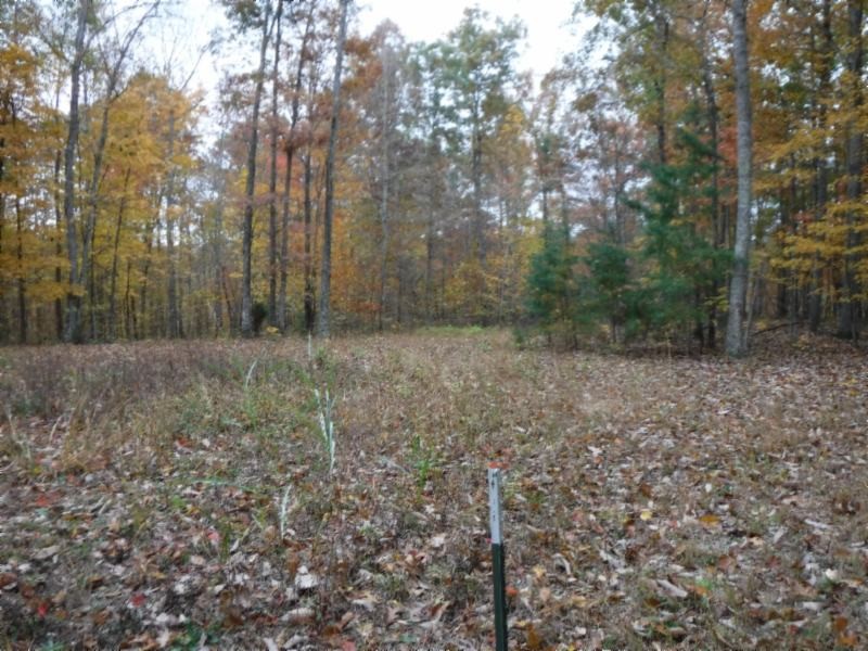 17 76ac Arrowhead Road Moss, TN 38575 - Photo 18 of 28 a view of outdoor space with trees