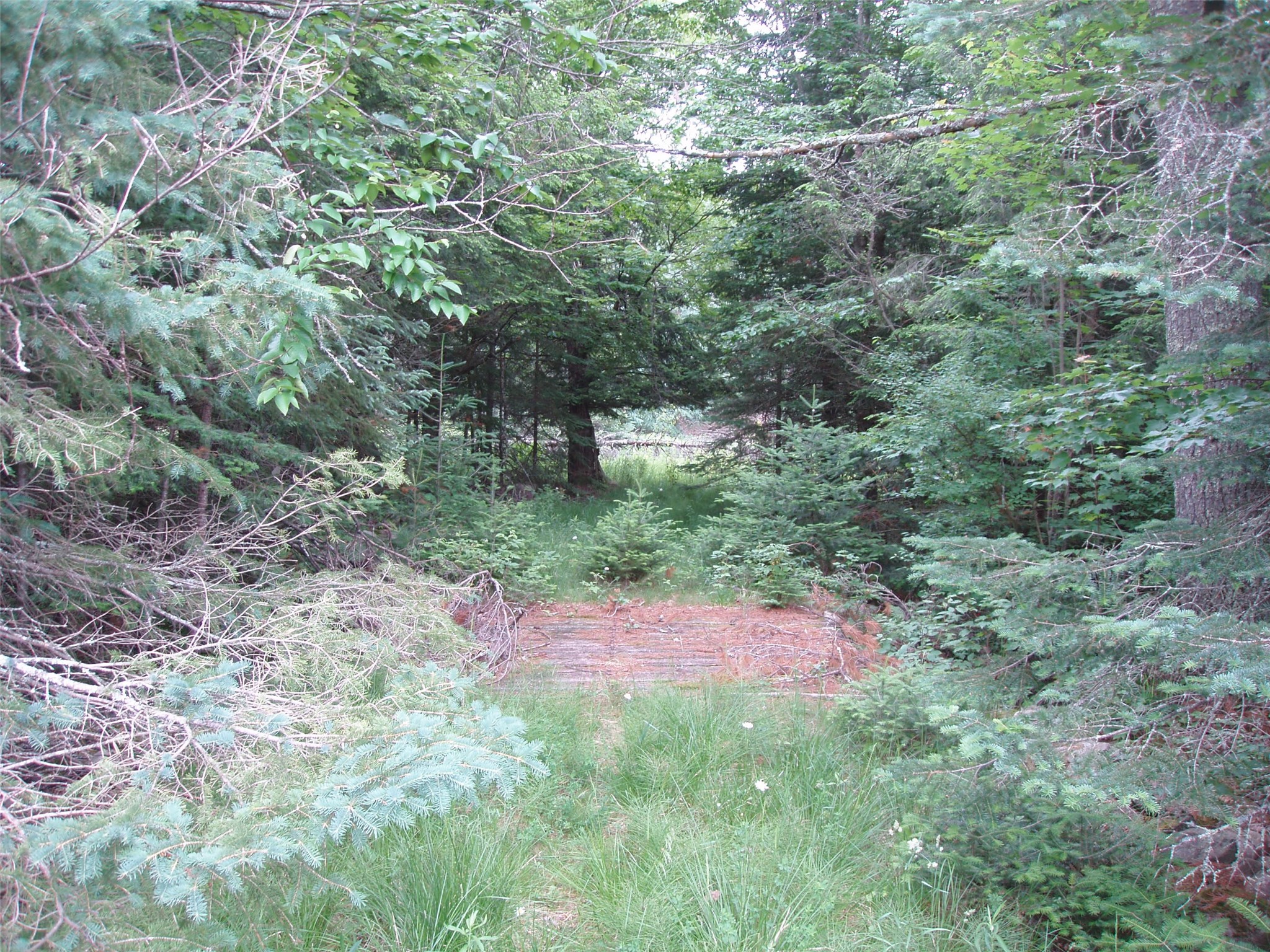 N16798 Bass Lake Road Butternut, WI 54514 - Photo 38 of 52