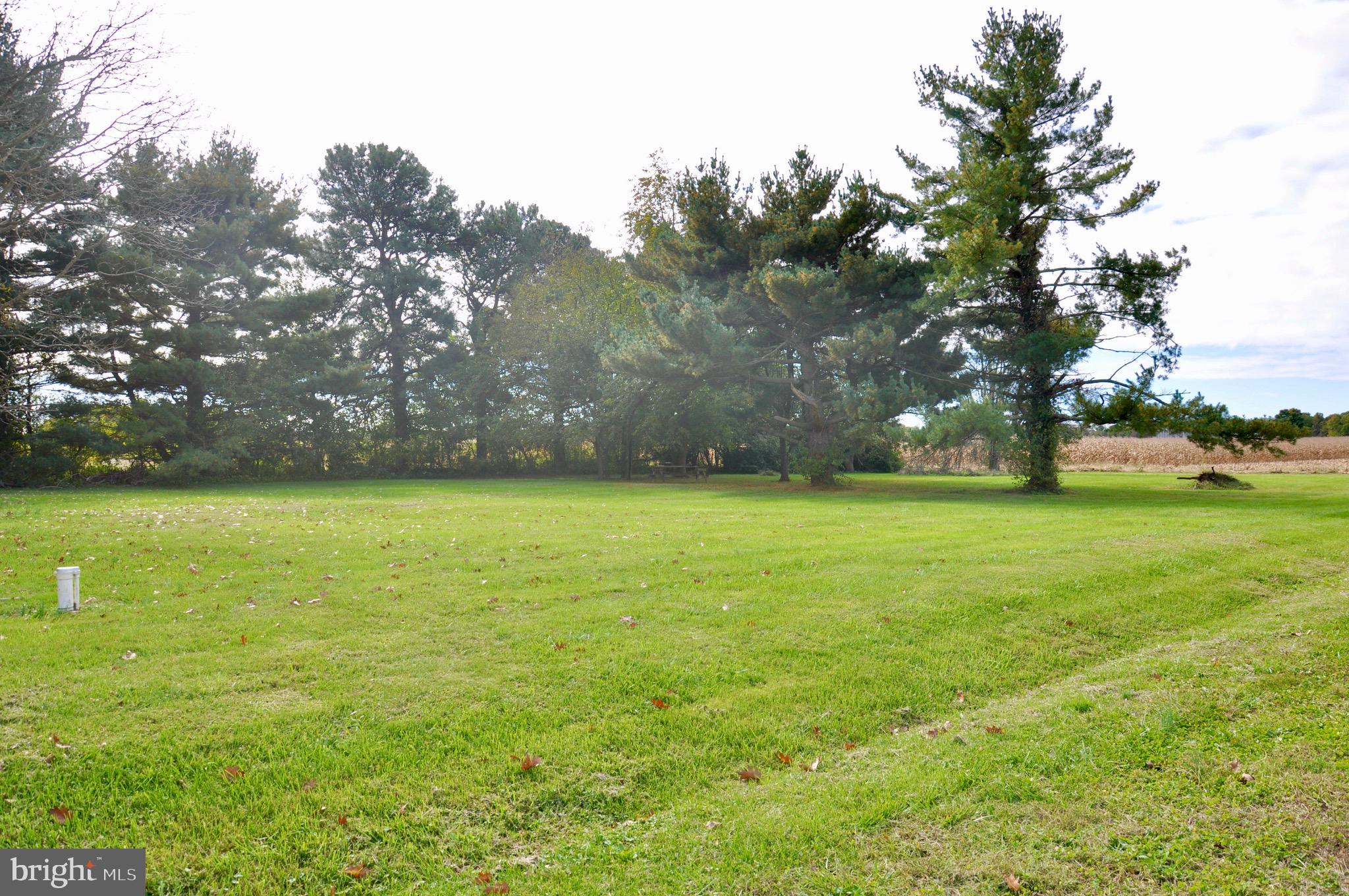 11719 St James Road Worton, MD 21678 - Photo 4 of 30