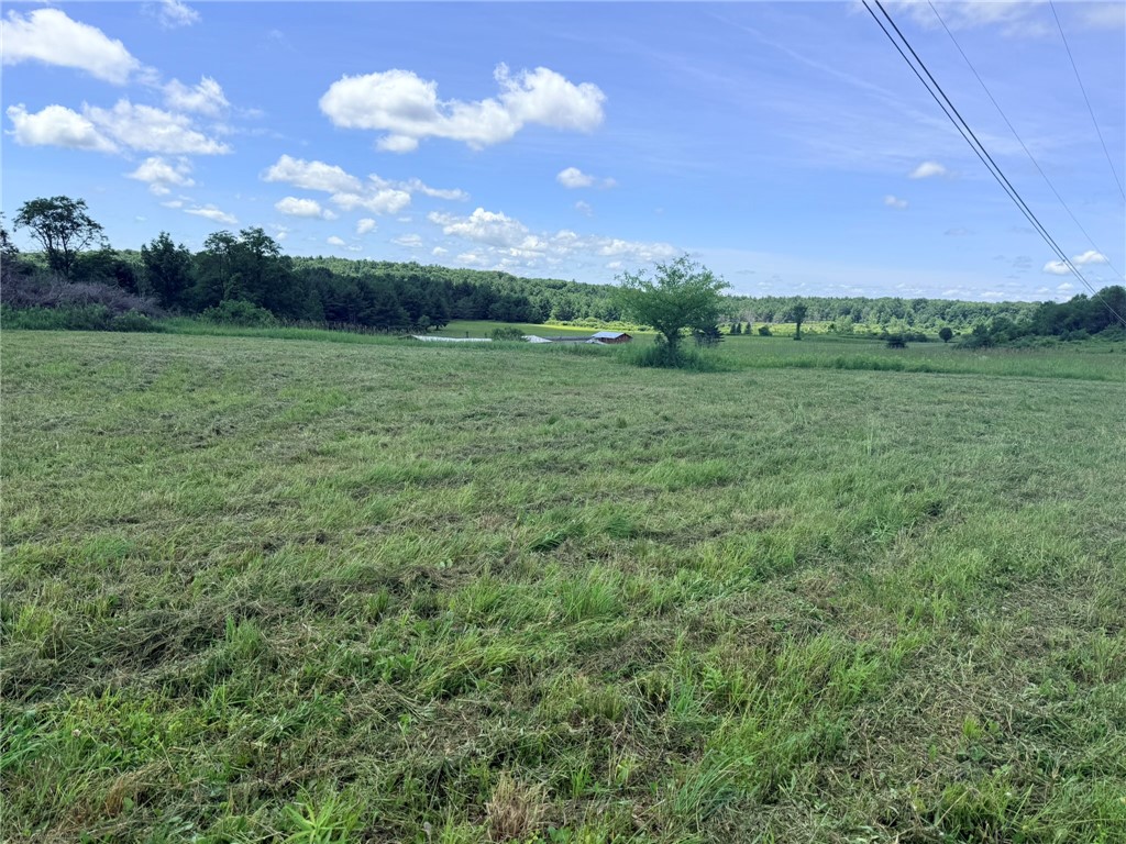 L17 North Pond Road Guilford, NY 13780 - Photo 6 of 19