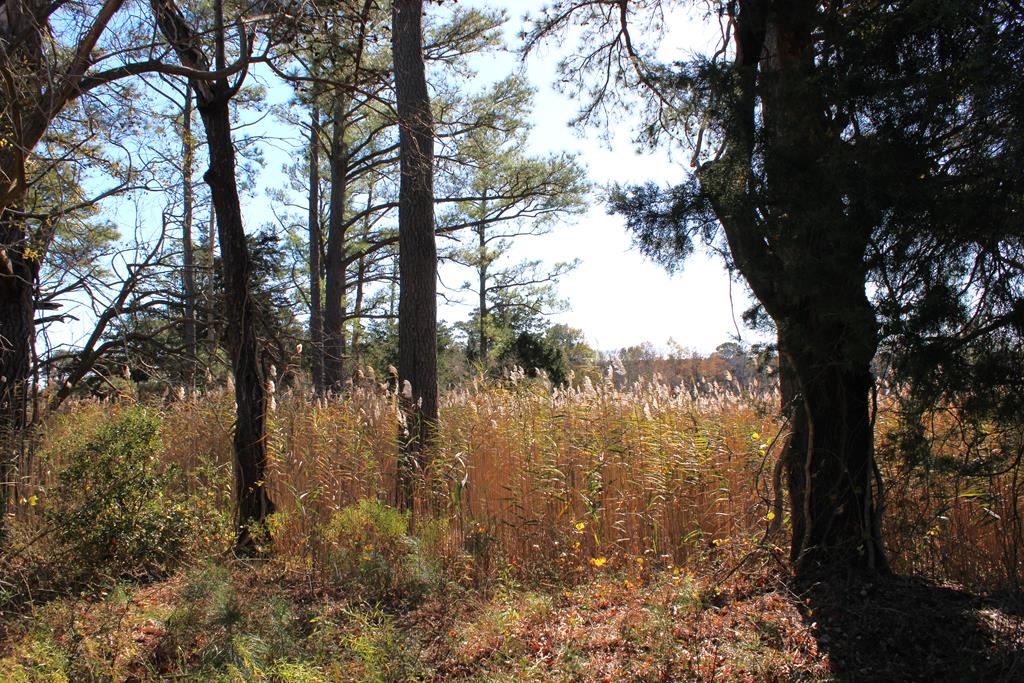 Lot 3-4 Mink Farm Road, Unit 4 3 Onancock, VA 23417 - Photo 11 of 19