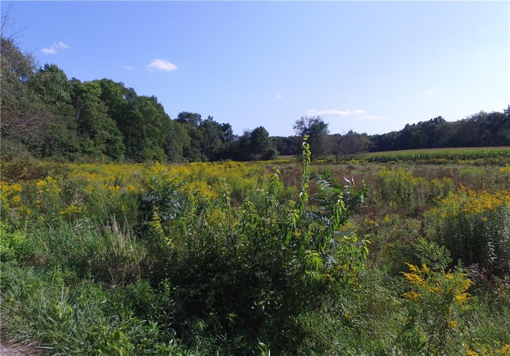 Lot #2 Reese Road Slippery Rock, PA 16057 - Photo 1 of 7