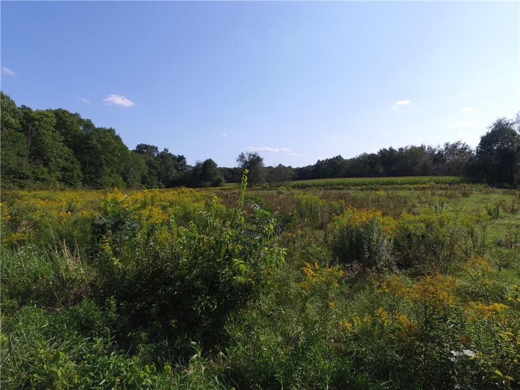 Lot #2 Reese Road Slippery Rock, PA 16057 - Photo 7 of 7