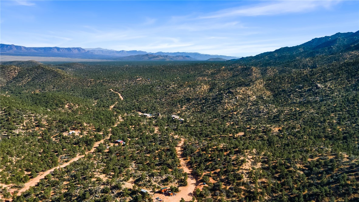 313-87-005 North Trap Spgs Road Hackberry, AZ 86411 - Photo 8 of 21