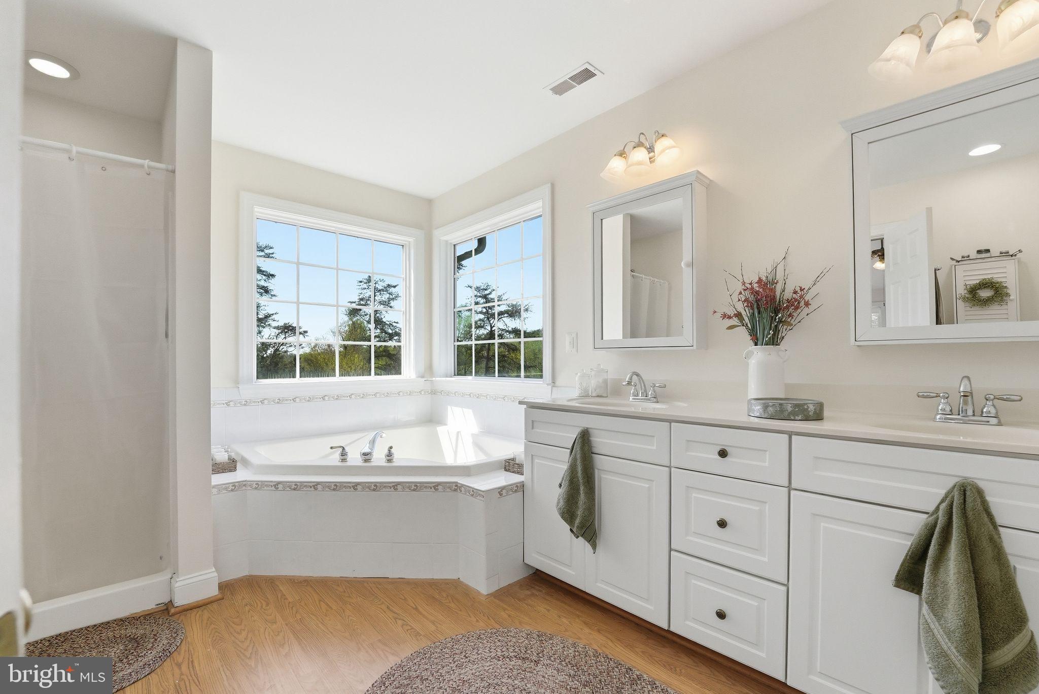 140 Woods Ridge Lane Reva, VA 22735 - Photo 36 of 87 a bathroom with a sink double vanity granite tub and a mirror