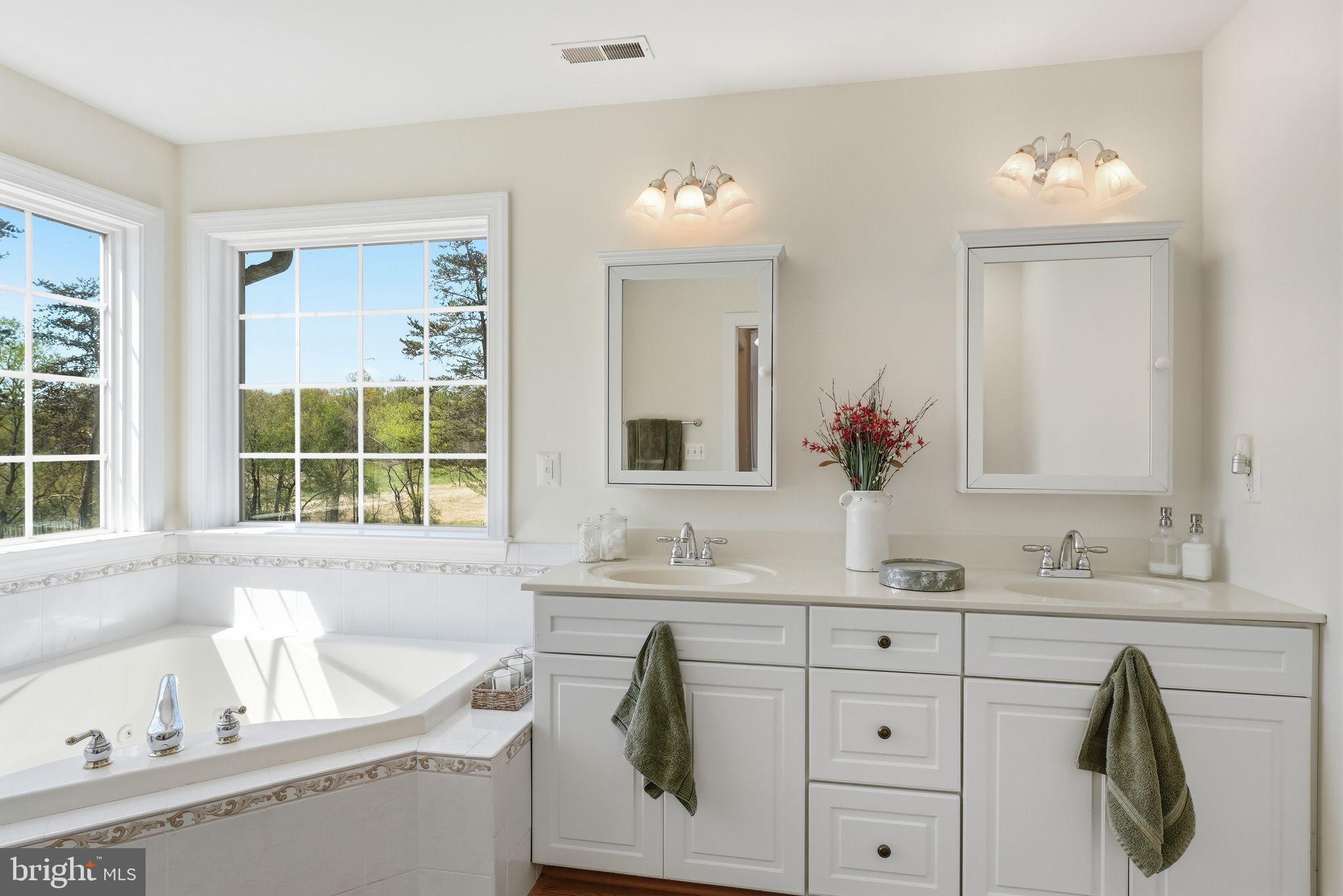 140 Woods Ridge Lane Reva, VA 22735 - Photo 38 of 87 a bathroom with a sink and a bathtub