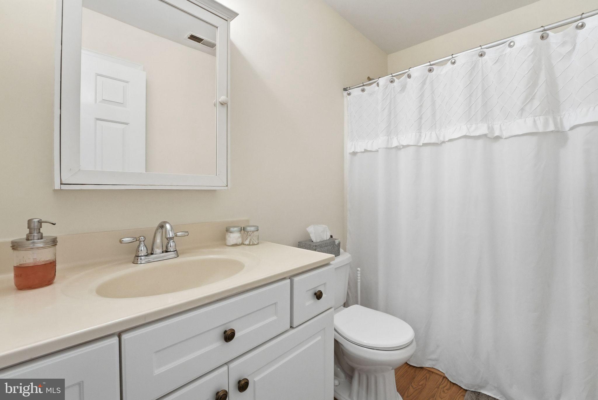 140 Woods Ridge Lane Reva, VA 22735 - Photo 41 of 87 a bathroom with a sink a toilet and a mirror