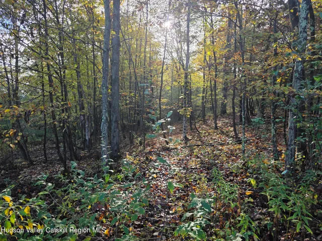 $69,000 | 6 Durham Woods Road, Durham, NY 12423