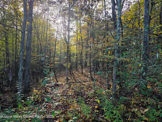 $69,000 | 6 Durham Woods Road, Durham, NY 12423