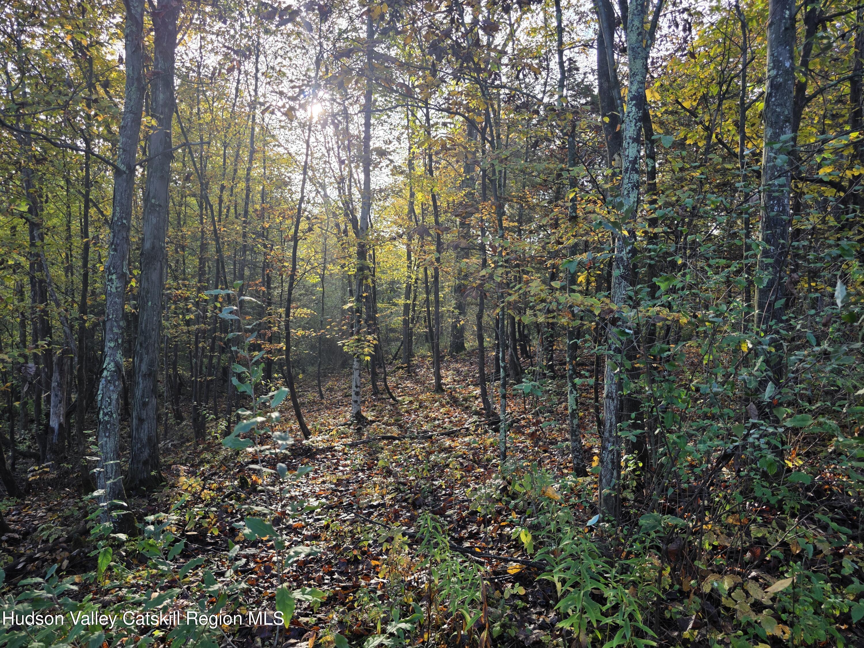 6 Durham Woods Road Durham, NY 12423 - Photo 12 of 13 20250926_084813