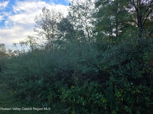 $69,000 | 6 Durham Woods Road, Durham, NY 12423