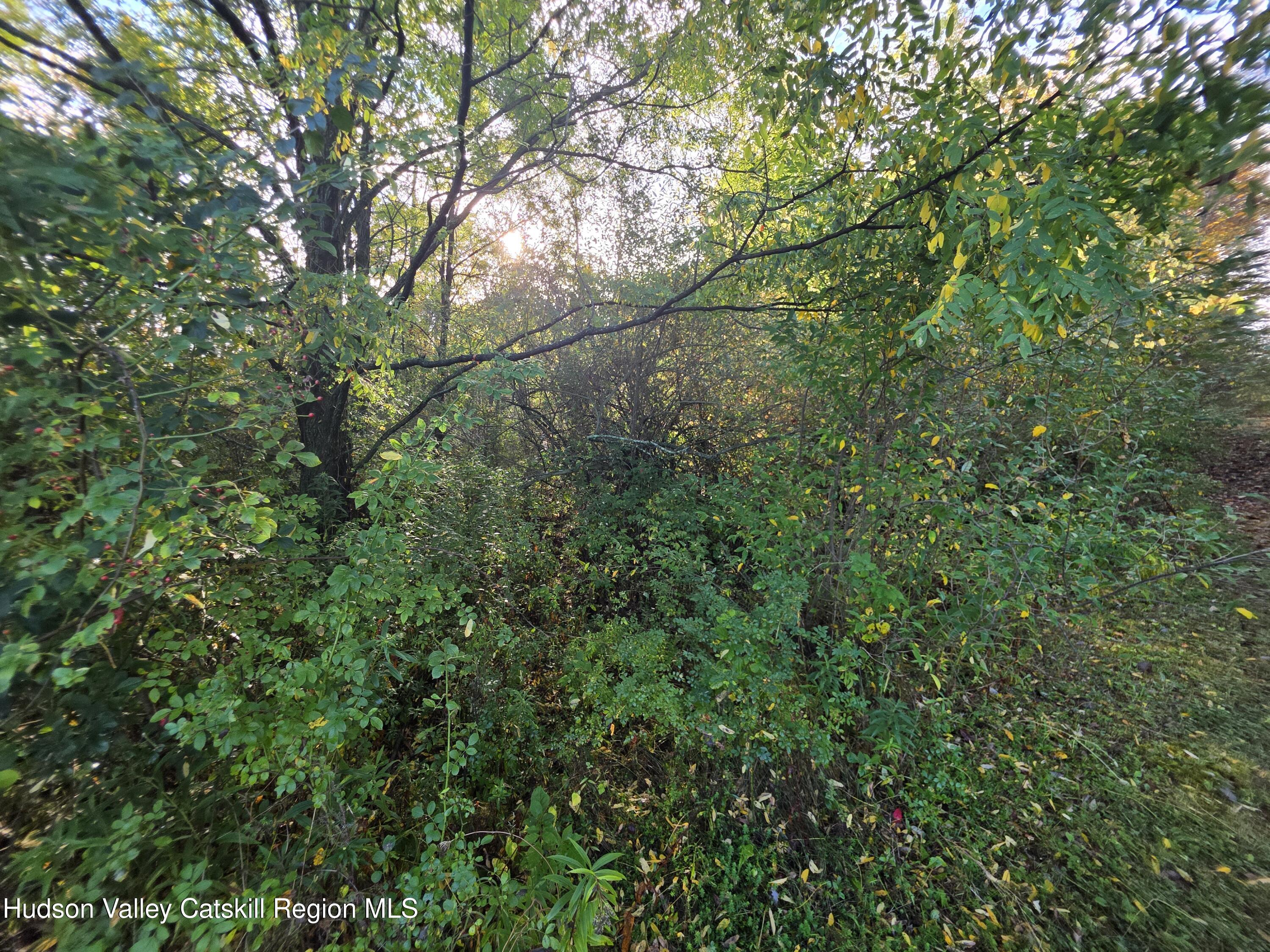 6 Durham Woods Road Durham, NY 12423 - Photo 6 of 13 20250926_084657