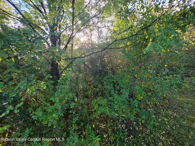 $69,000 | 6 Durham Woods Road, Durham, NY 12423