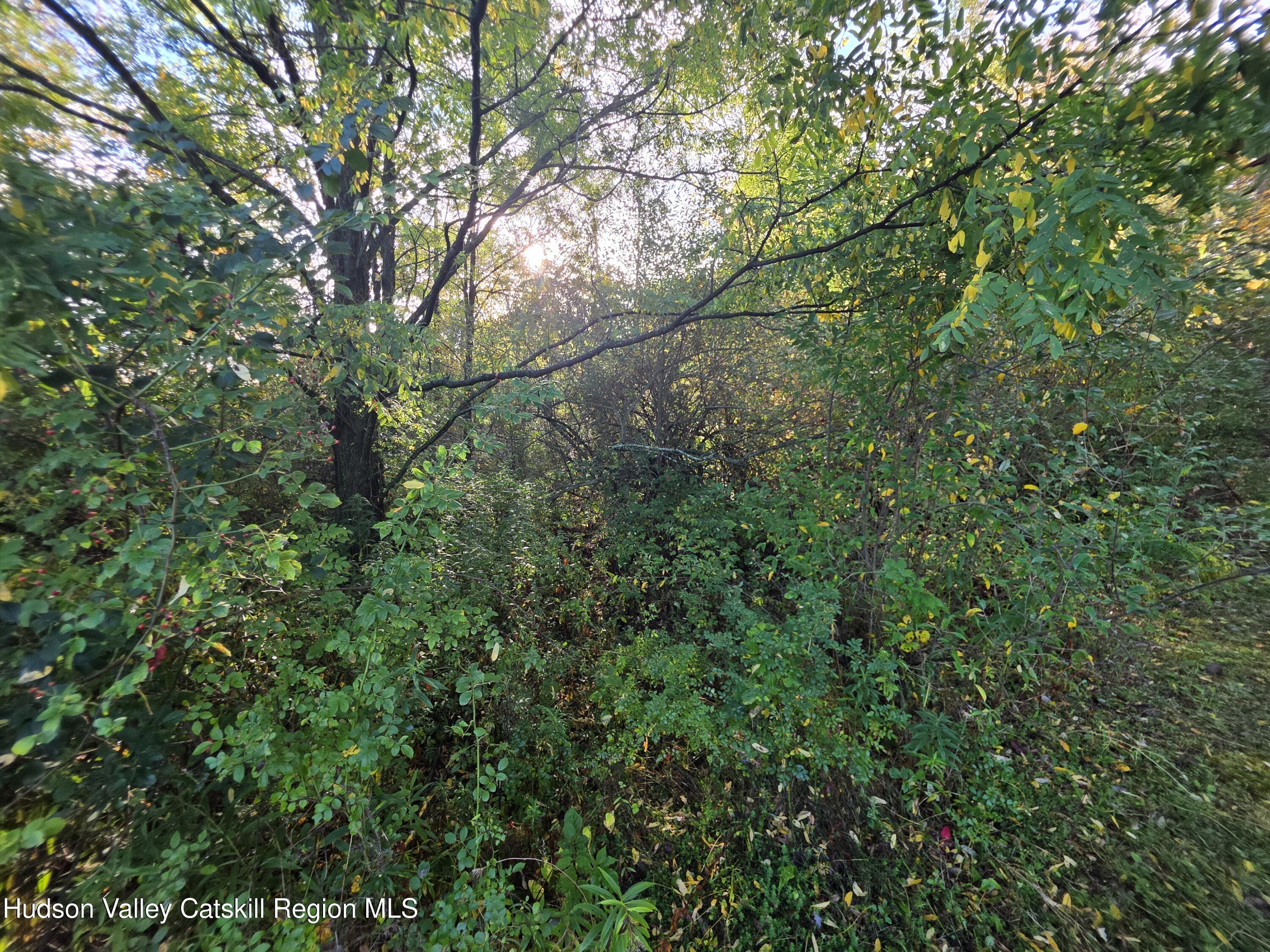 6 Durham Woods Road Durham, NY 12423 - Photo 7 of 13 20250926_084659