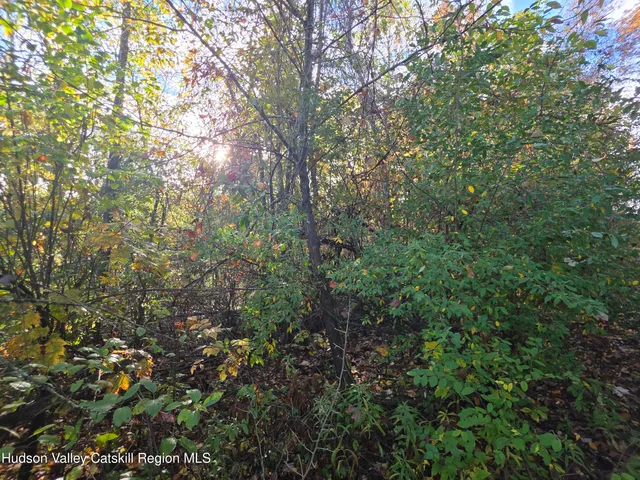 $69,000 | 6 Durham Woods Road, Durham, NY 12423