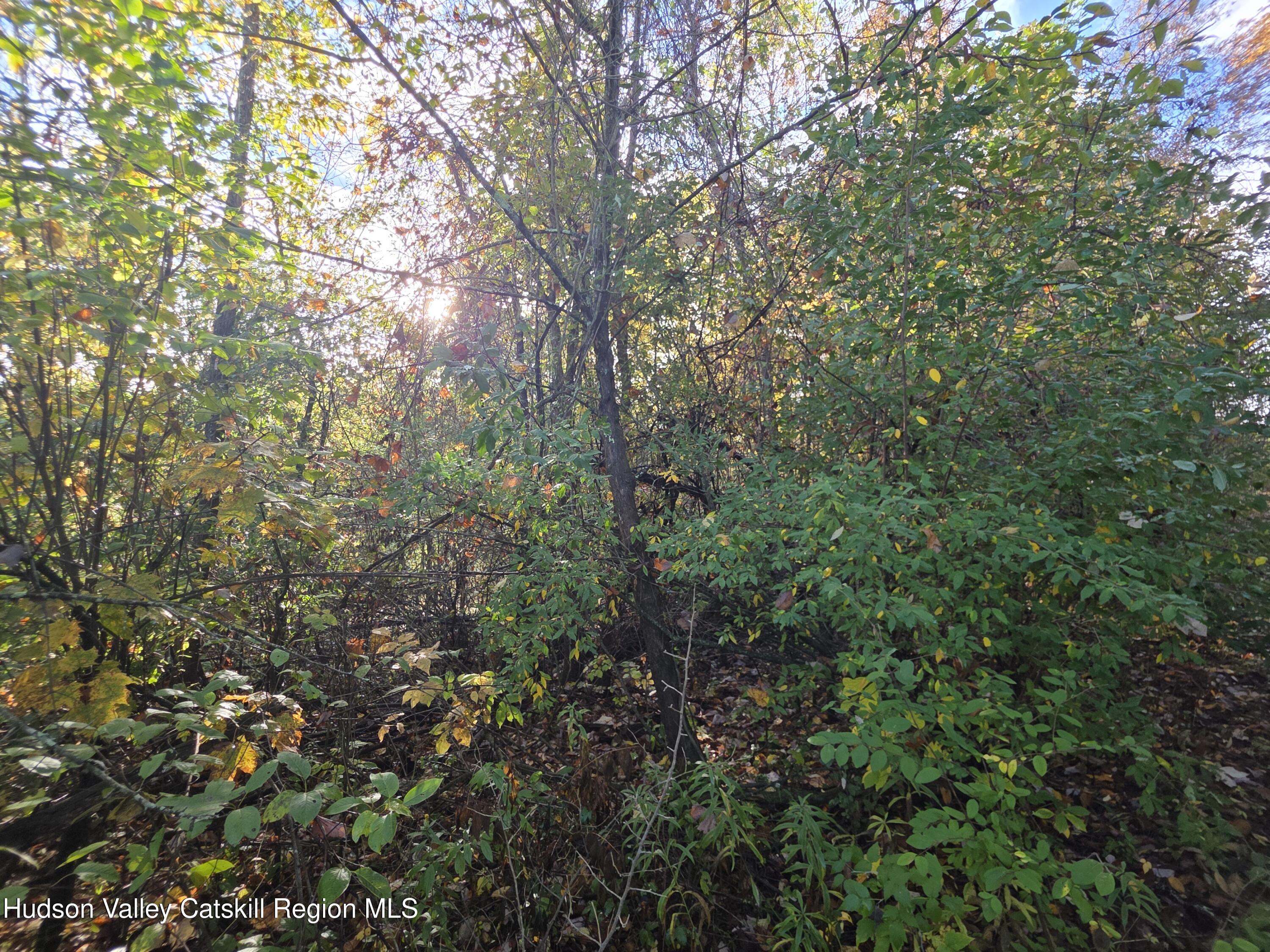 6 Durham Woods Road Durham, NY 12423 - Photo 8 of 13 20250926_084737