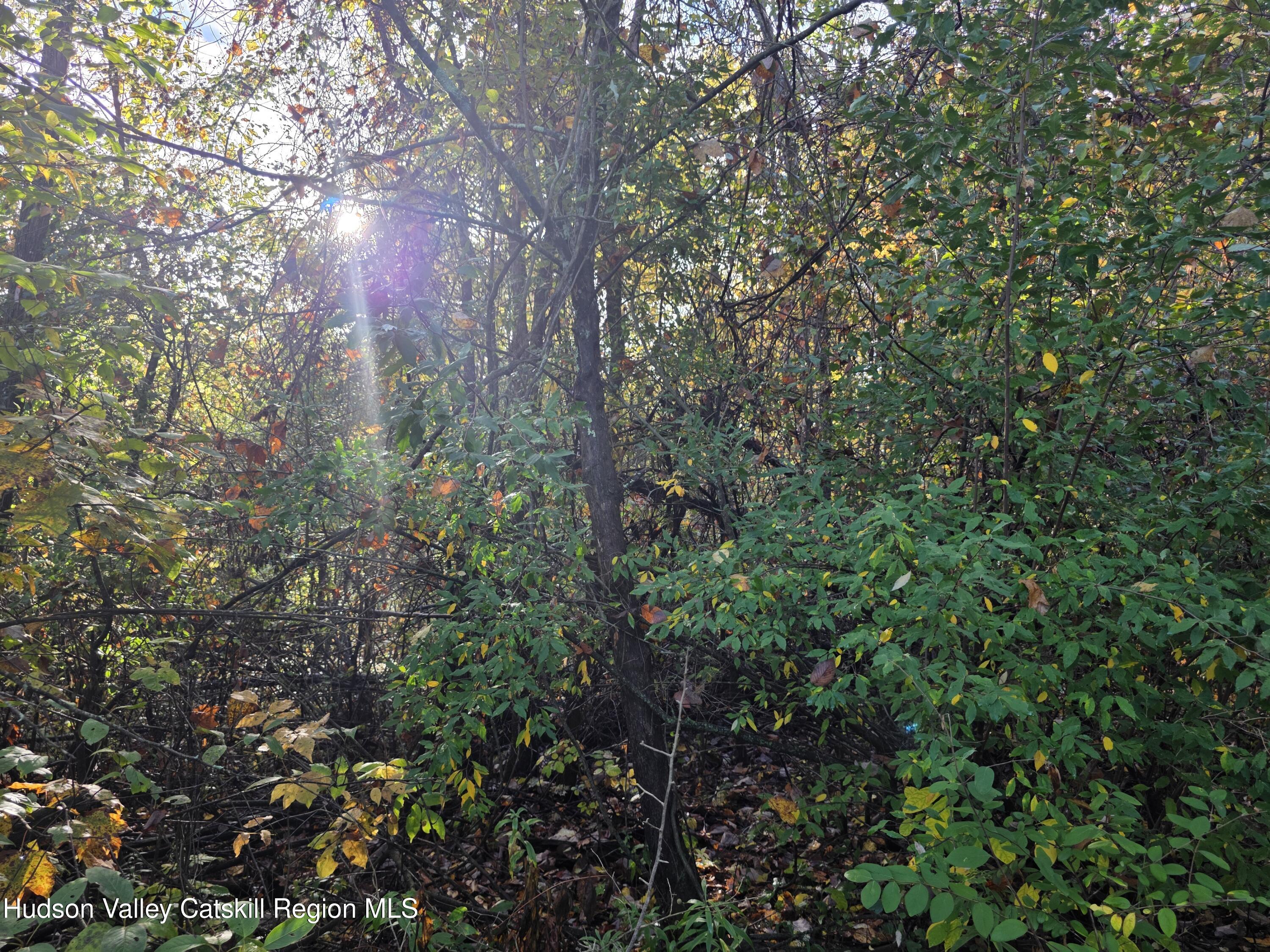 6 Durham Woods Road Durham, NY 12423 - Photo 9 of 13 20250926_084741