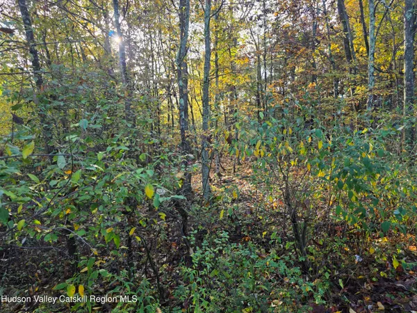 $69,000 | 6 Durham Woods Road, Durham, NY 12423