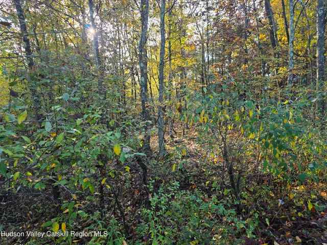 $69,000 | 6 Durham Woods Road, Durham, NY 12423