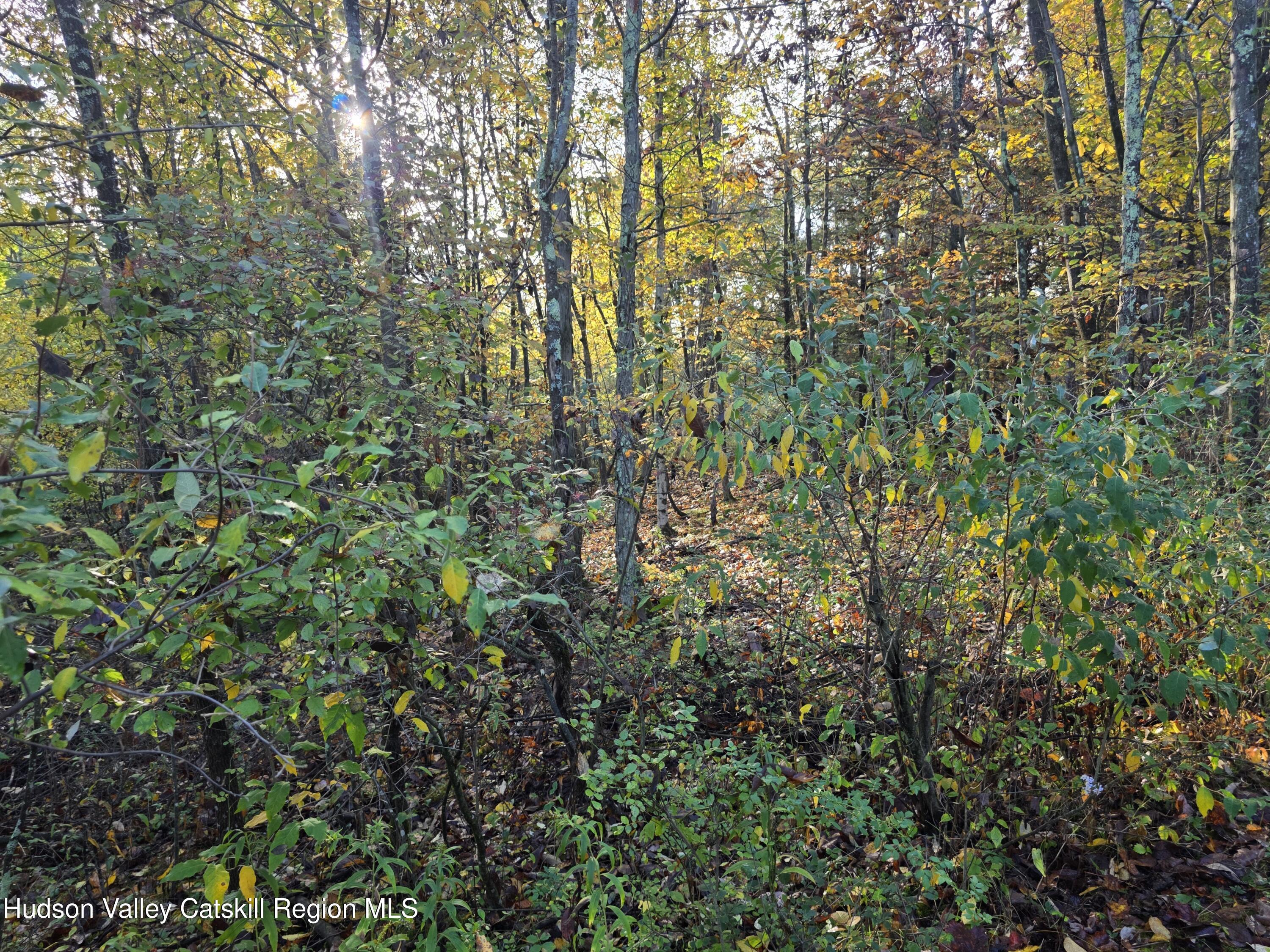 6 Durham Woods Road Durham, NY 12423 - Photo 10 of 13 20250926_084803