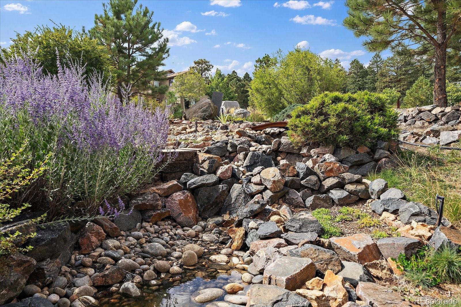 31518 Niakwa Road Evergreen, CO 80439 - Photo 41 of 48 a view of a garden with a tree