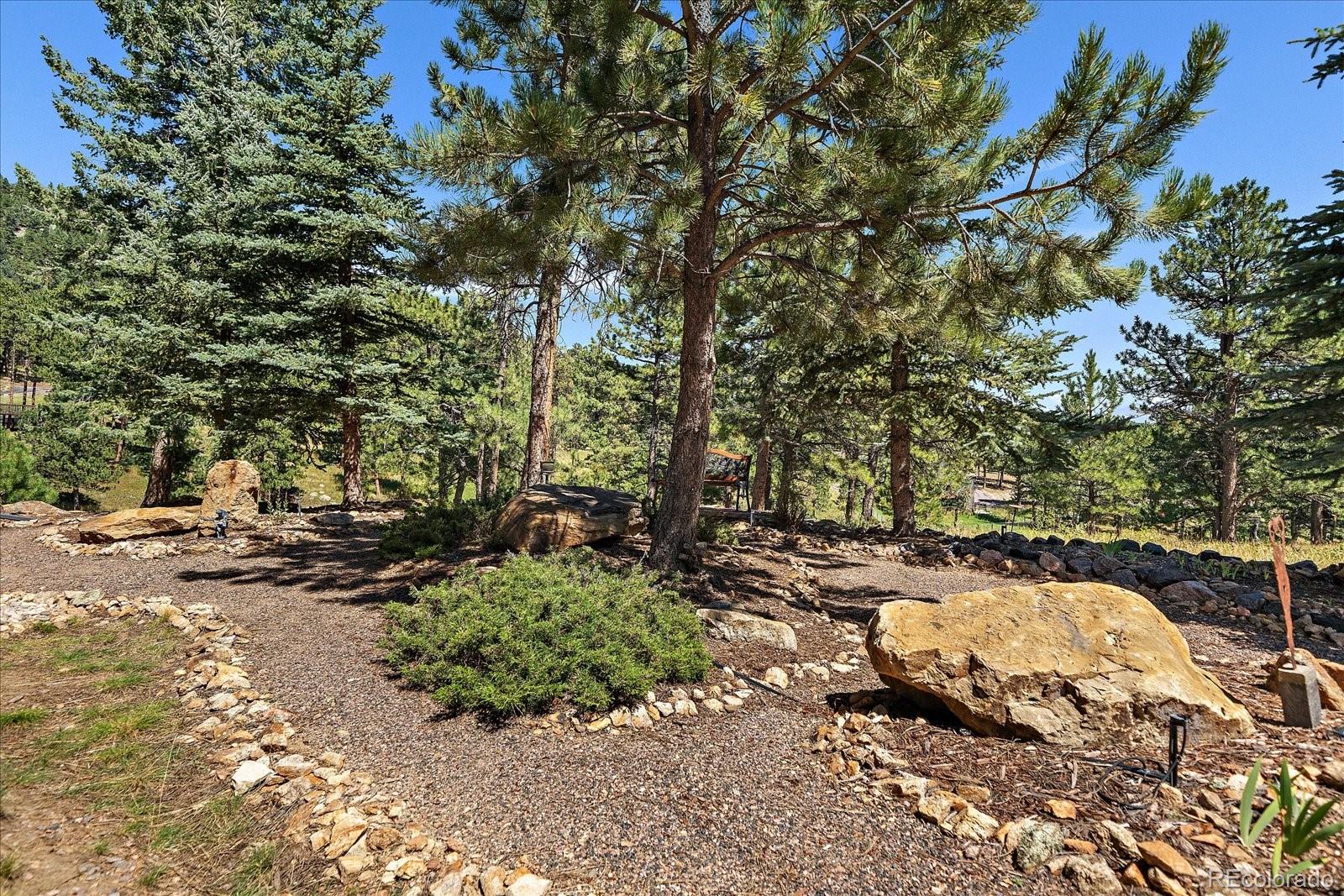 31518 Niakwa Road Evergreen, CO 80439 - Photo 42 of 48 a view of a tree in front of a building