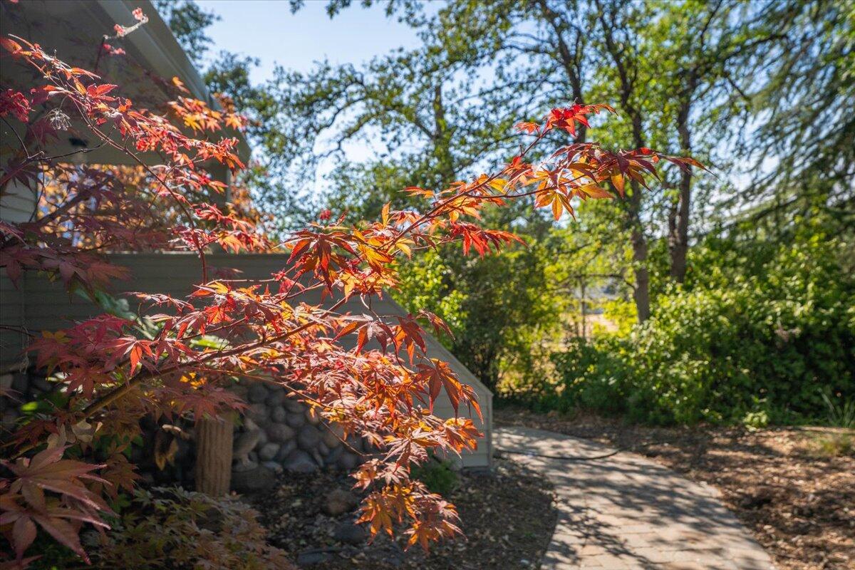 15745 Montgomery Ranch Road Redding, CA 96001 - Photo 24 of 33 a picture of tree