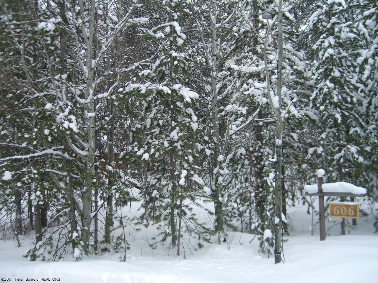 Lot 2nd Alpine, WY 83128 - Photo 1 of 1 The Pines
