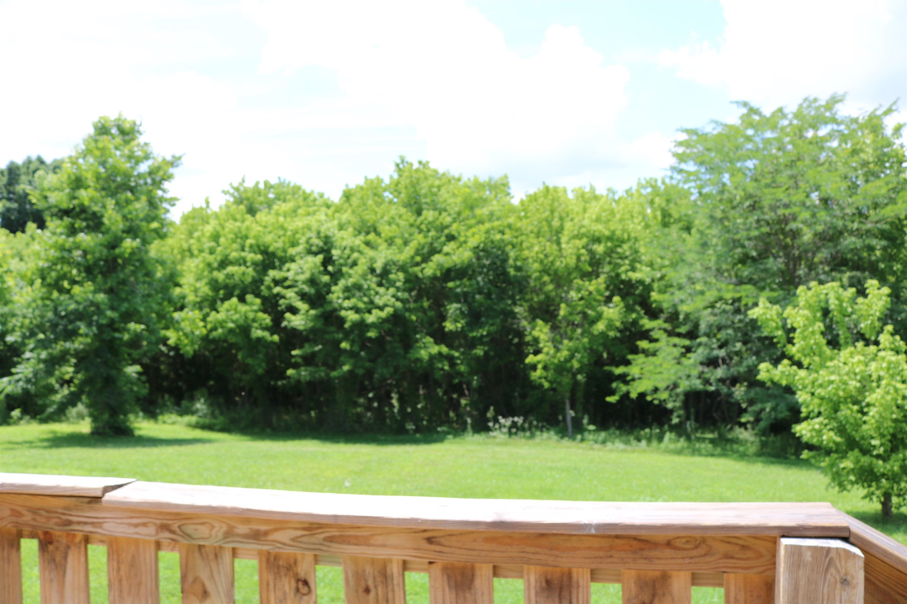 229 Coats Road Brighton, TN 38011 - Photo 10 of 14 Back yard with about 4 more acres of woods running the back of the property.