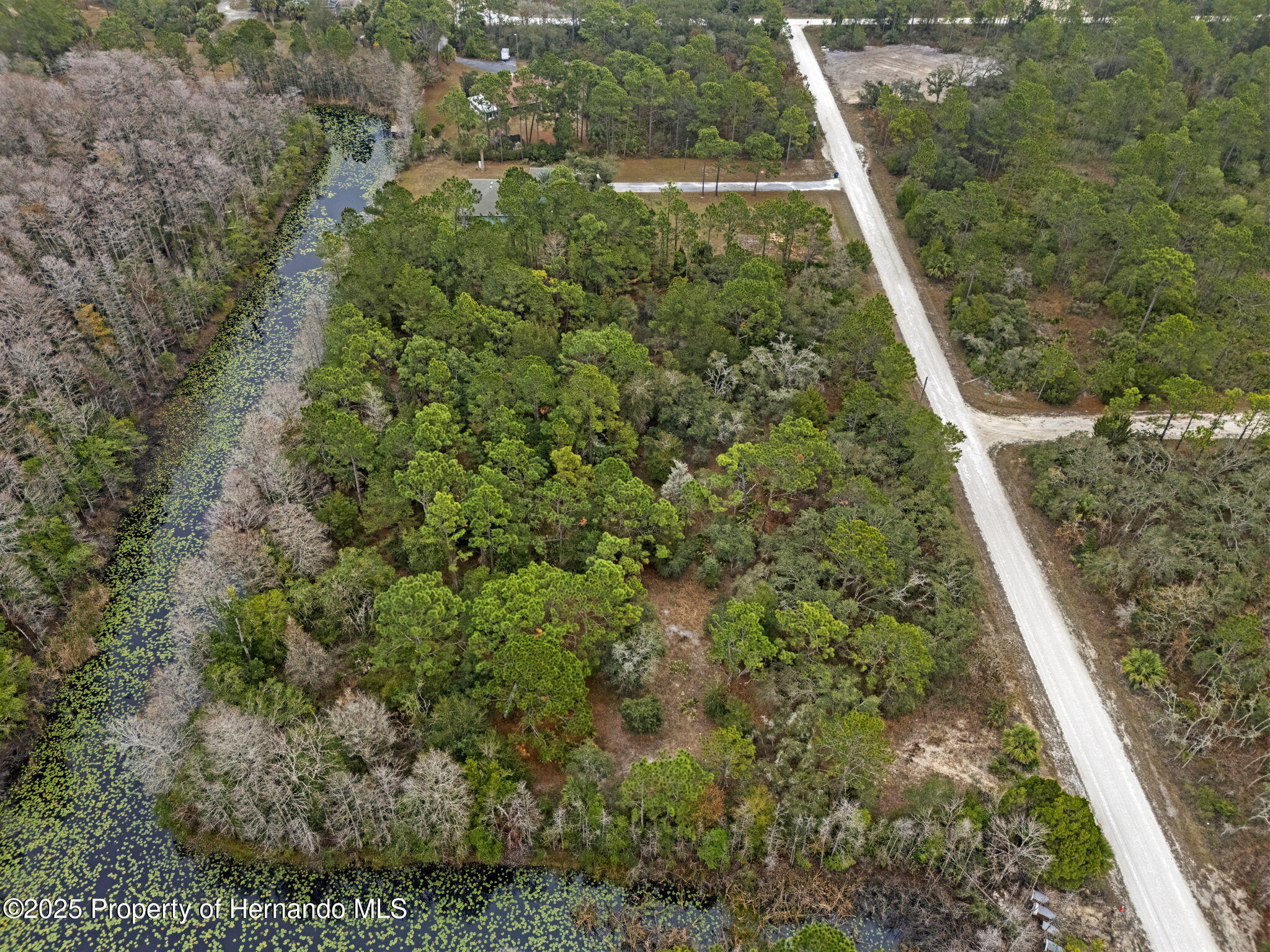 0 Yellowback Road Weeki Wachee, FL 34614 - Photo 6 of 14