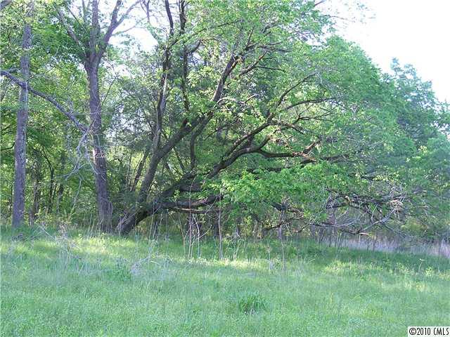 85-ac West End Road Chester, SC 29706 - Photo 7 of 12