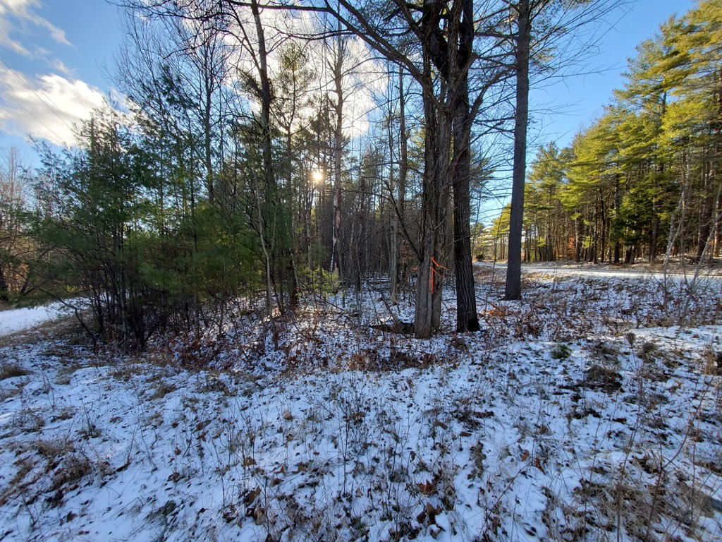558 Fox Run Road Lewis, NY 12950 - Photo 7 of 9 Gallery Image 7