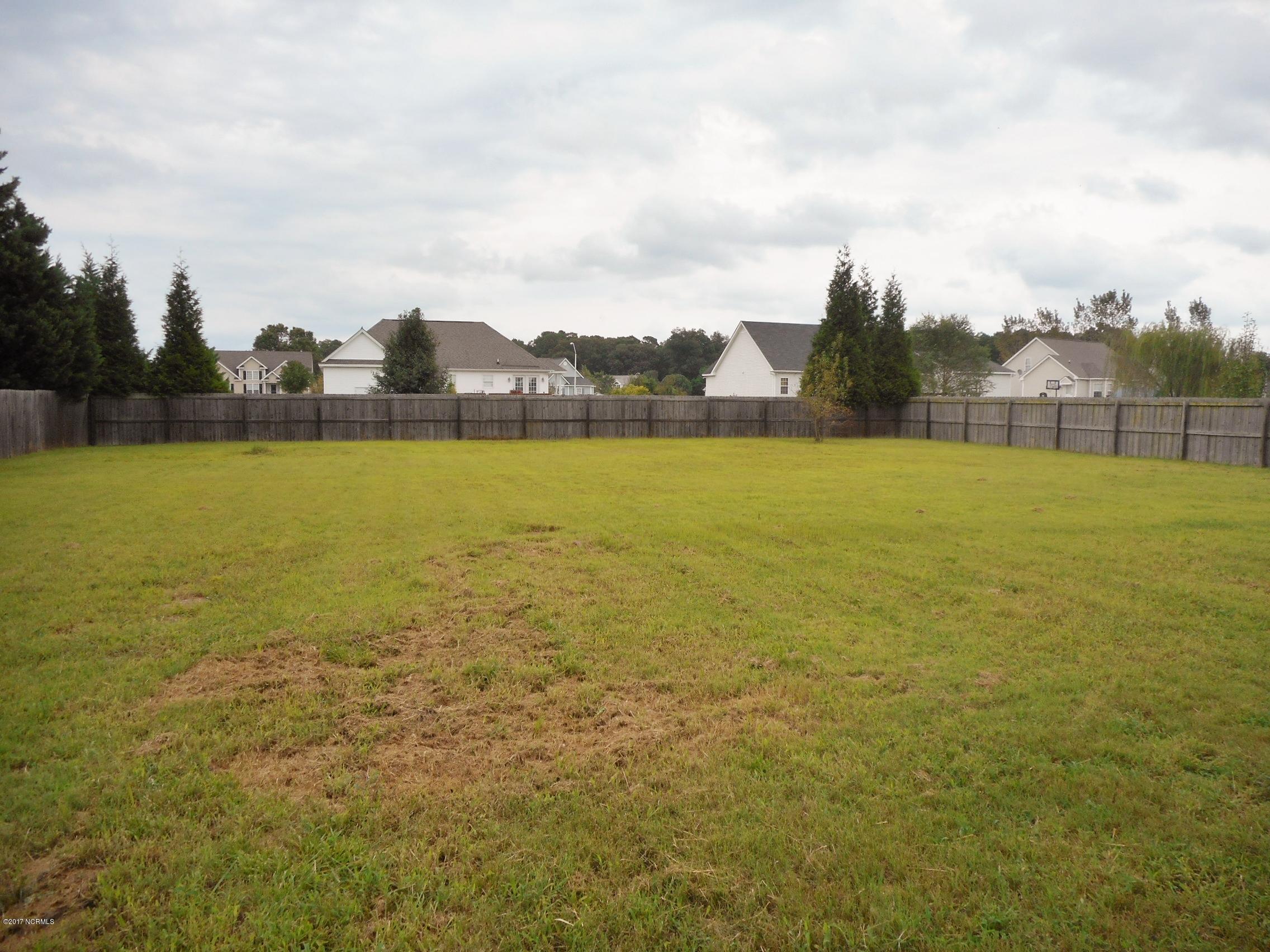 3632 Spring Mill Trail Road Rocky Mount, NC 27804 - Photo 8 of 43 Huge back yard...