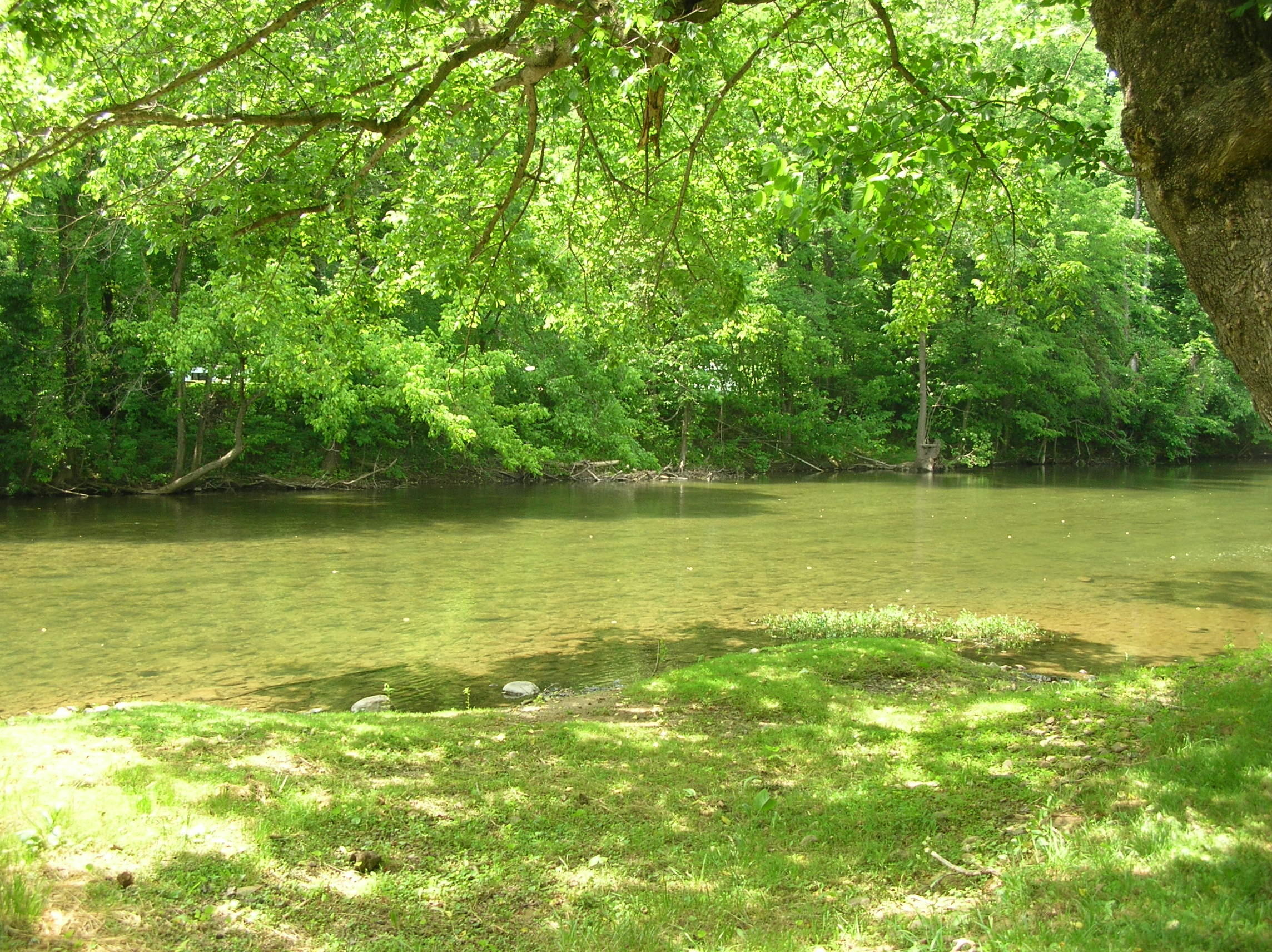 4763 West River Road Salem, VA 24153 - Photo 5 of 15 DSCN1516
