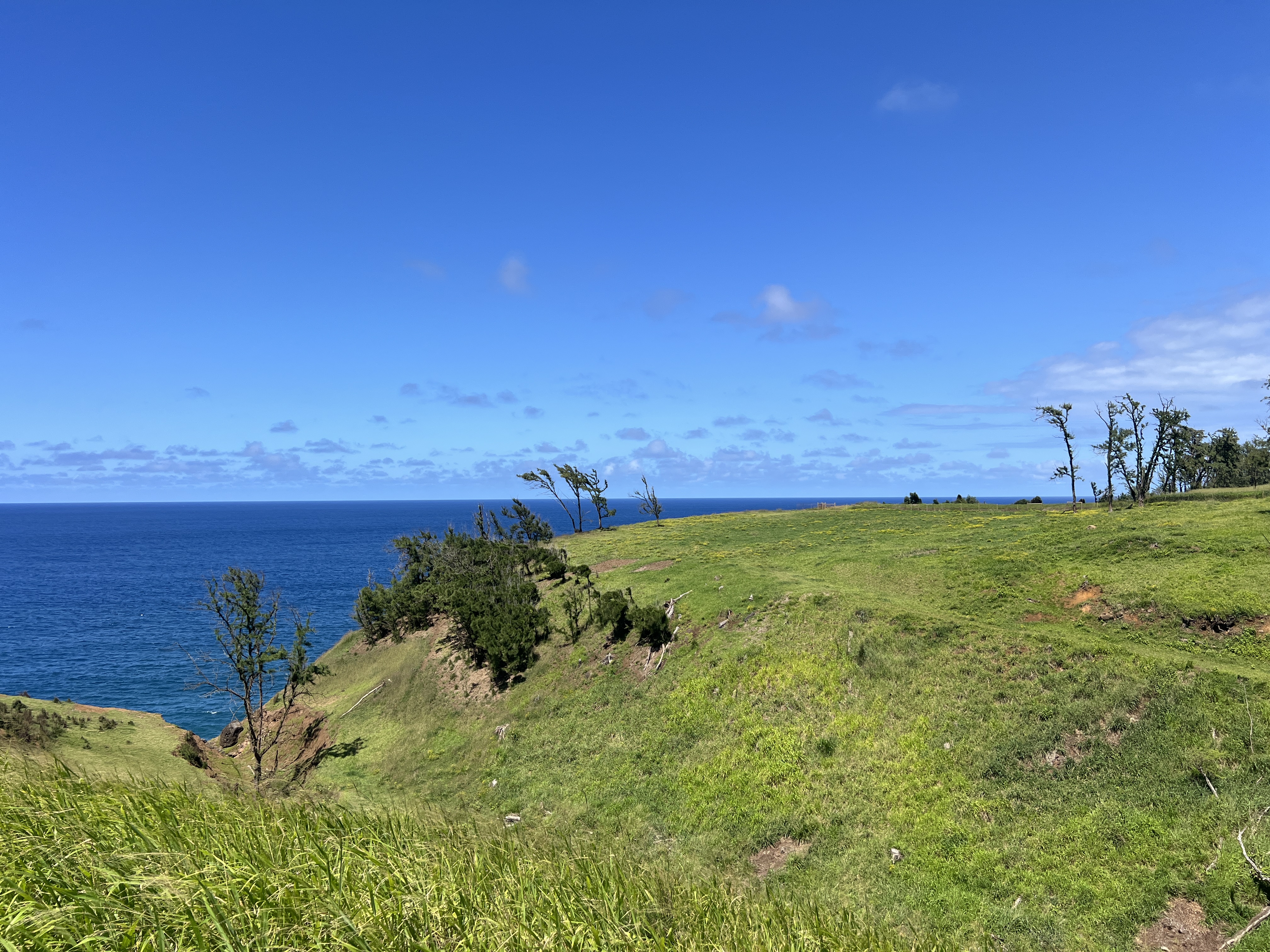 55-199 Hoea Road Hawi, HI 96719 - Photo 9 of 19