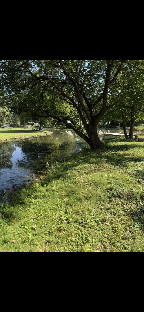 35 Medinah Street Fox Lake, IL 60020 - Photo 5 of 13