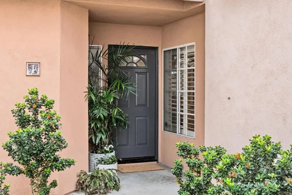 a potted plant is sitting in front of a door