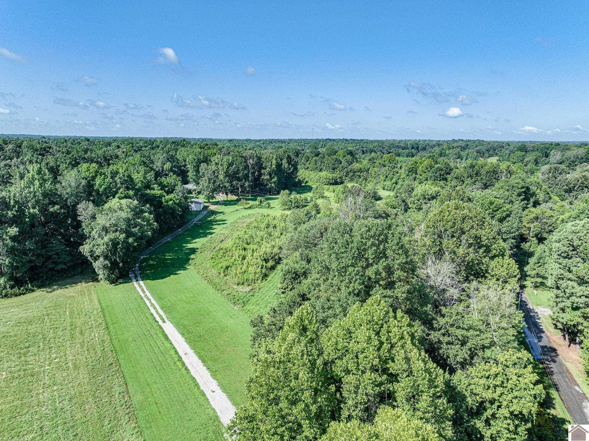 2733 Oak Level Elva Road Symsonia, KY 42082 - Photo 15 of 30 Aerial