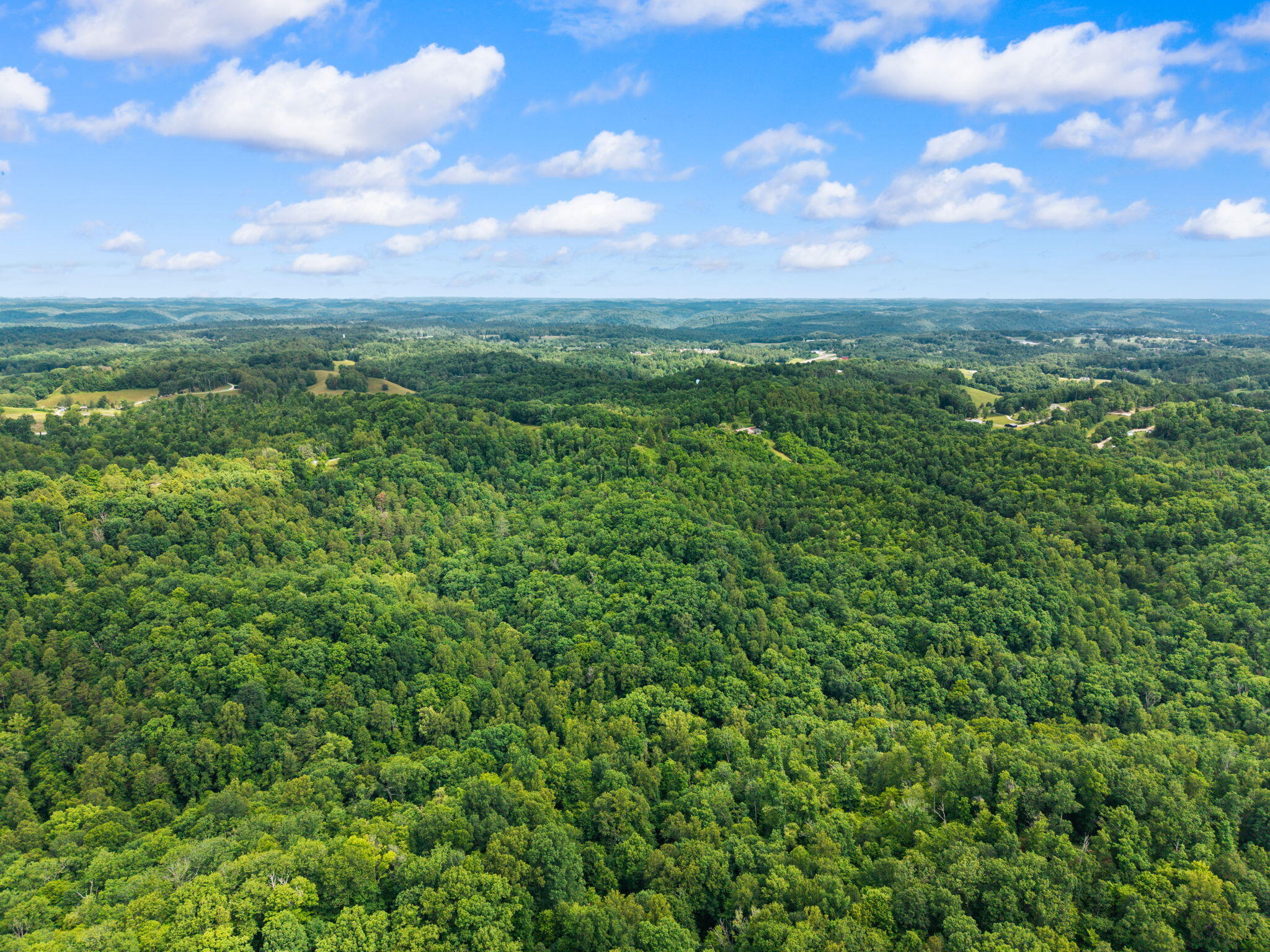 736 Caudill Road Beattyville, KY 41311 - Photo 47 of 61 69-web-or-mls-DJI_20260615103835_0075_D